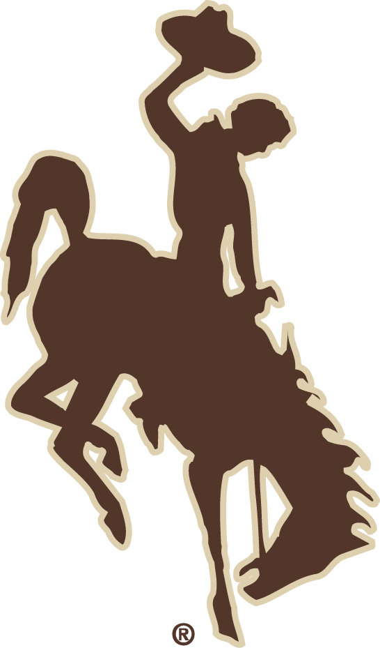 Wyoming Cowboys 2006-2012 Alternate Logo t shirts DIY iron ons